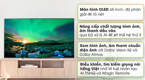 Smart Tivi OLED LG 4K 65 inch 65GXPTA Model 2020