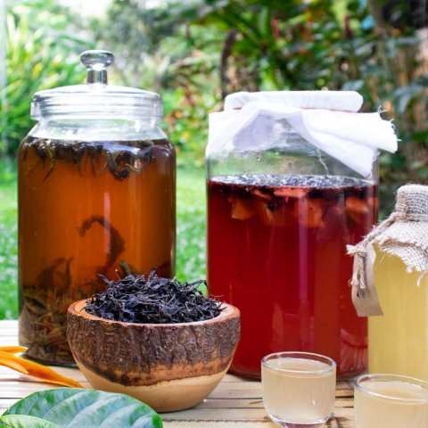 Công nghệ để ức chế quá trình lên men khi đã đóng chai Kombucha?