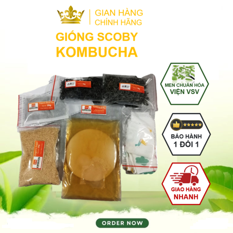 Combo SCOBY ORGANIC 5 MÓN cho người mới làm trà Kombucha ( Giống SCOBY + Nước Mồi + Trà Xanh + Đường Mía + Giấy PH).