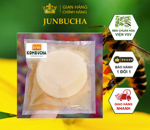 JUN SCOBY - JUNBUCHA  (Gồm Con Giống SCOBY ) chuẩn Organic Hữu Cơ làm Jun Kombucha