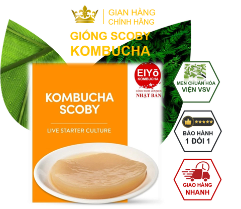 SCOBY ORGANIC LÀM TRÀ KOMBUCHA ( Được chuẩn hóa tại Viện Vi Sinh và Nuôi Theo Công NGhệ NHẬT BẢN tại BA VÌ)