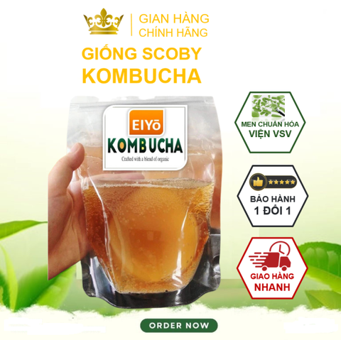Combo SCOBY ORGANIC 3 món cho người mới làm trà Kombucha ( Gồm con Giống KOMBUCHA + Trà Đen + Đường Mía).
