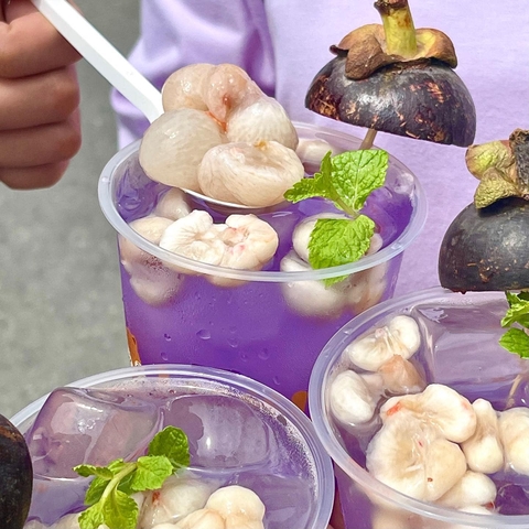 Kombucha Măng Cụt Hoa Đậu Biếc