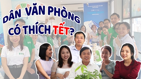 Dân Văn Phòng có thích Tết không? - Le Medtek