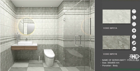 Gạch Vân Đá Tự Nhiên 30x60 36P21