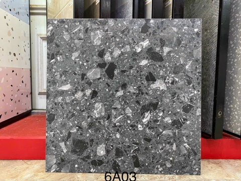 Gạch Vân Terrazzo 60x60 6A03