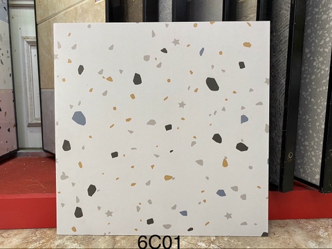 Gạch Vân Terrazzo 60x60 6C01