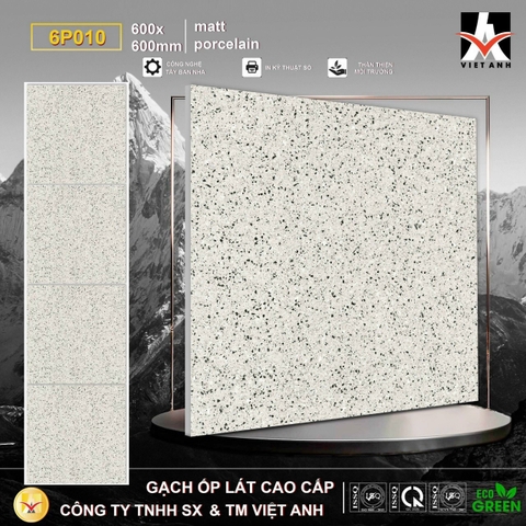 Gạch Vân Terrazzo 60x60 6P010