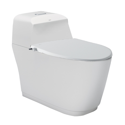 Bồn cầu nắp rửa cơ AC-1032+CW-S15VN