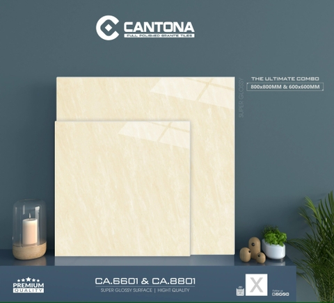 Gạch Vân Đá CA6601