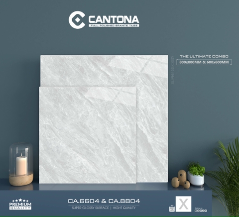 Gạch Vân Đá CA6604