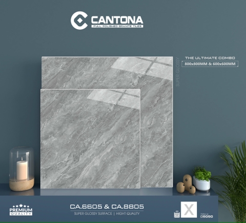 Gạch Vân Đá CA6605