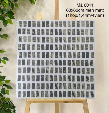 Gạch Vân TERAZO 60x60 ĐS6011