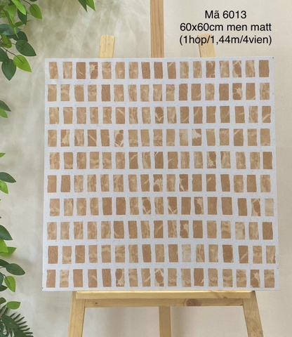 Gạch Vân TERAZO 60x60 ĐS6013