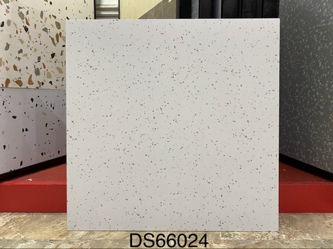 Gạch Vân Terrazzo 60x60 ĐS67024