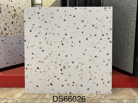Gạch Vân Terrazzo 60x60 ĐS67026
