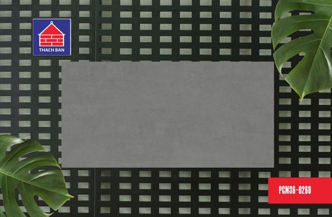 Gạch vân xi măng PGM36-0260