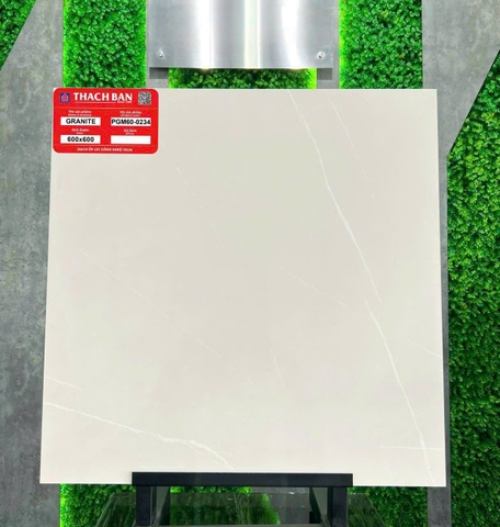 Gạch vân xi măng PGM60-0234