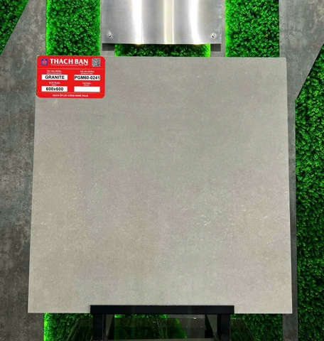 Gạch vân xi măng PGM60-0241