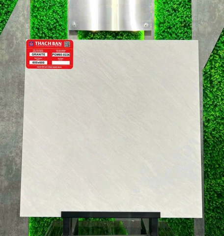 Gạch vân xi măng PGM60-0226