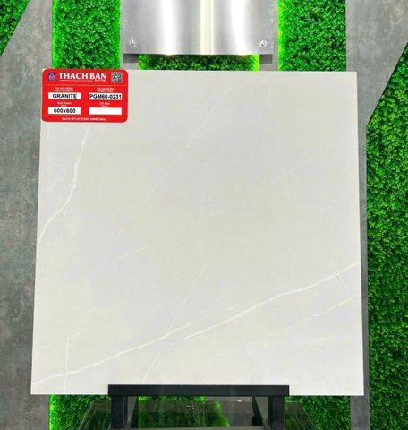 Gạch vân xi măng PGM60-0231