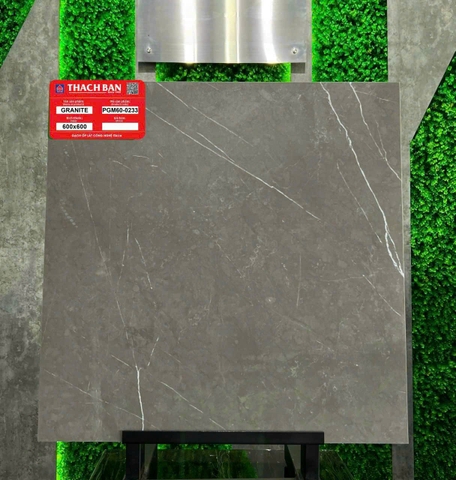 Gạch vân xi măng PGM60-0233