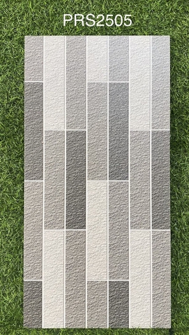 Gạch Trang Trí 25x50 PRS2505