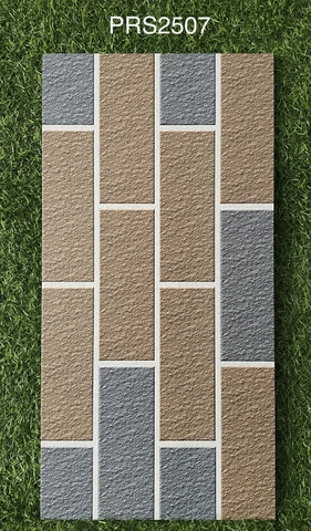 Gạch Trang Trí 25x50 PRS2507
