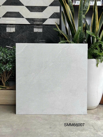 Gạch Vân Xi Măng 60x60 SMM66007