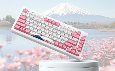 GIỚI THIỆU VÀ ĐÁNH GIÁ BÀN PHÍM CƠ AKKO MOD007B-HE PC TOKYO SAKURA PINK