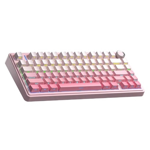 Keyboard Aula F75 (2049) - LED RGB và 3 Mode (Hồng gradient/ Dream Sakura switch)