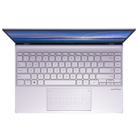 Laptop Asus Zenbook 14 UX425EA BM066T