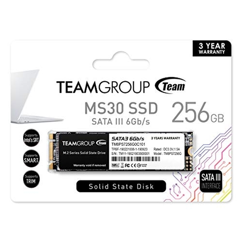 TEAMGROUP - SSD 256GB M.2 Sata3 for laptop. Model: MS30