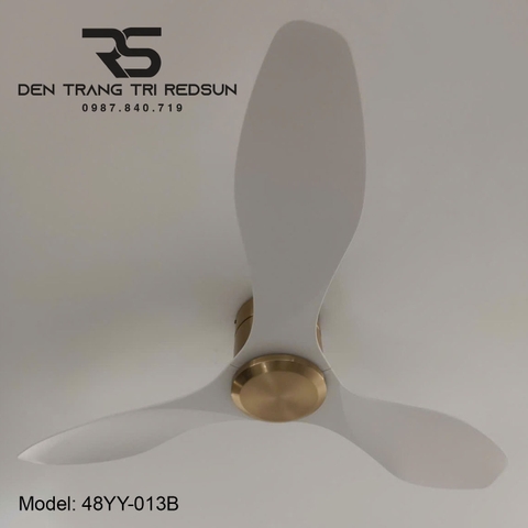 Quạt Trần Trang Trí Phòng Khách, Phòng Ngủ - 48YY-013B