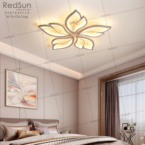 Mâm ốp trần Mika chò mini 12 OT-S001