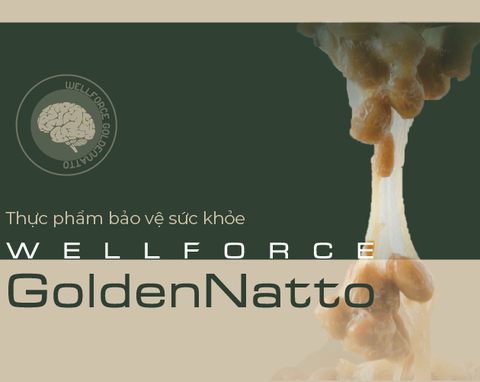 Thực phẩm bảo vệ sức khoẻ Wellforce GoldenNatto