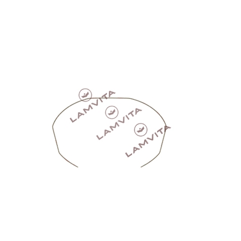 Phe giữ lọc tay pha