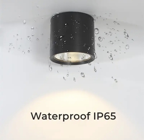 ĐÈN LED DẠNG ỐNG BƠ LẮP NỔI NGOẠI THẤT NGOÀI TRỜI IP65 CHỊU NƯỚC CAO, VỎ ĐEN, ÁNH SÁNG TRUNG TÍNH 4000K, CÔNG SUẤT 12W, MÃ SẢN PHẨM : RDLS-9071-VMC62