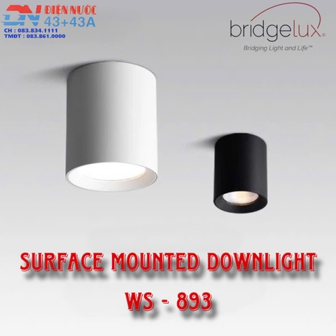 ĐÈN LED LẮP NỔI DẠNG ỐNG BƠ CHỐNG CHÓI SÂU - ĐƯỜNG KÍNH  MẶT ĐÈN 78mm - CÔNG SUẤT 10 - 12 watt - ĐỘ HOÀN MÀU CAO CRI 98- MODEL: WS - 893