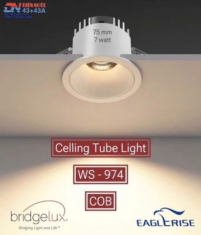 ĐÈN LED ÂM TRẦN DOWNLIGHT CELLING TUBE LIGHT - LỖ KHOÉT: 75 mm / CÔNG SUẤT : 7watt / ÁNH SÁNG TRUNG TÍNH 4000k / ĐỘ HOÀN MÀU CAO - MODEL : WS - 974 COB