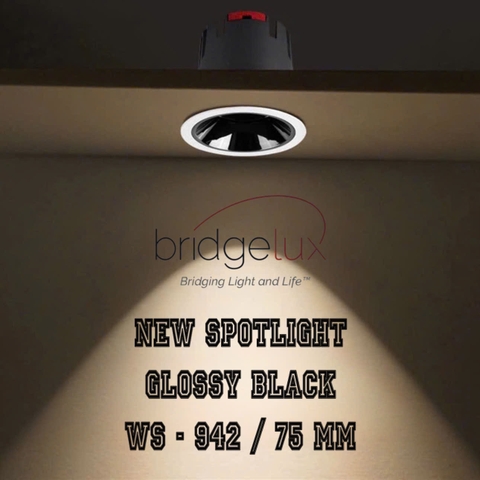 ĐÈN ÂM TRẦN NEW SPOTLIGHT GLOSSY BLACK - GÓC CHIẾU 24 ĐỘ - 12 watt - MODEL : WS - 942 LIFUD 2025