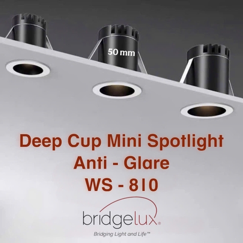 ĐÈN LED ÂM TRẦN MINI SPOTLIGHT CHỐNG CHÓI SÂU ( DEEP CUP MINI SPOTLIGHT ANTI - GLARE ) - LK 50mm - 3000K - MODEL : WS - 810