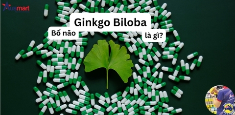 Cách sử dụng bổ não của Úc hiệu quả nhất
