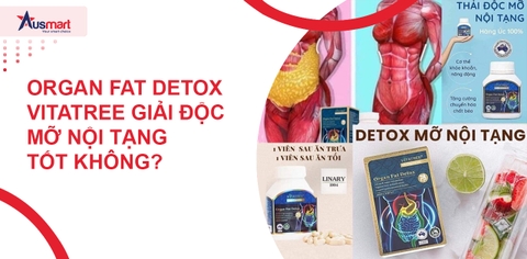 Organ Fat Detox Vitatree Giải Độc Mỡ Nội Tạng Tốt Không?