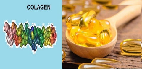 Có Nên Uống Tinh Dầu Hoa Anh Thảo Kết Hợp Collagen?