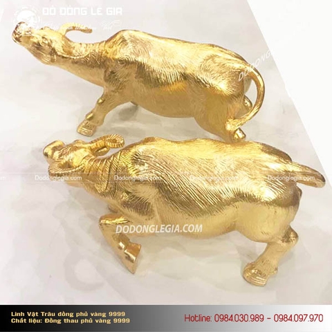 Đôi trâu đồng phủ vàng 9999