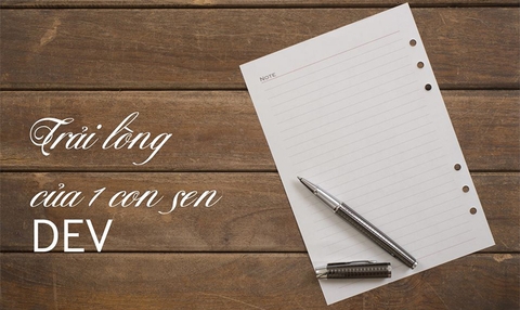 Trải lòng của 1 con sen Dev