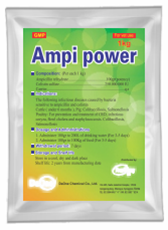 AMPI POWER