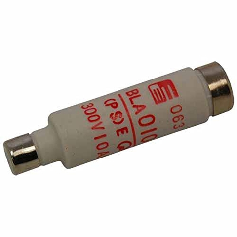 Cầu chì BLA010 FUJI