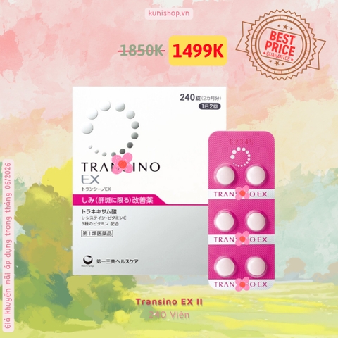 Transino EX II 240v